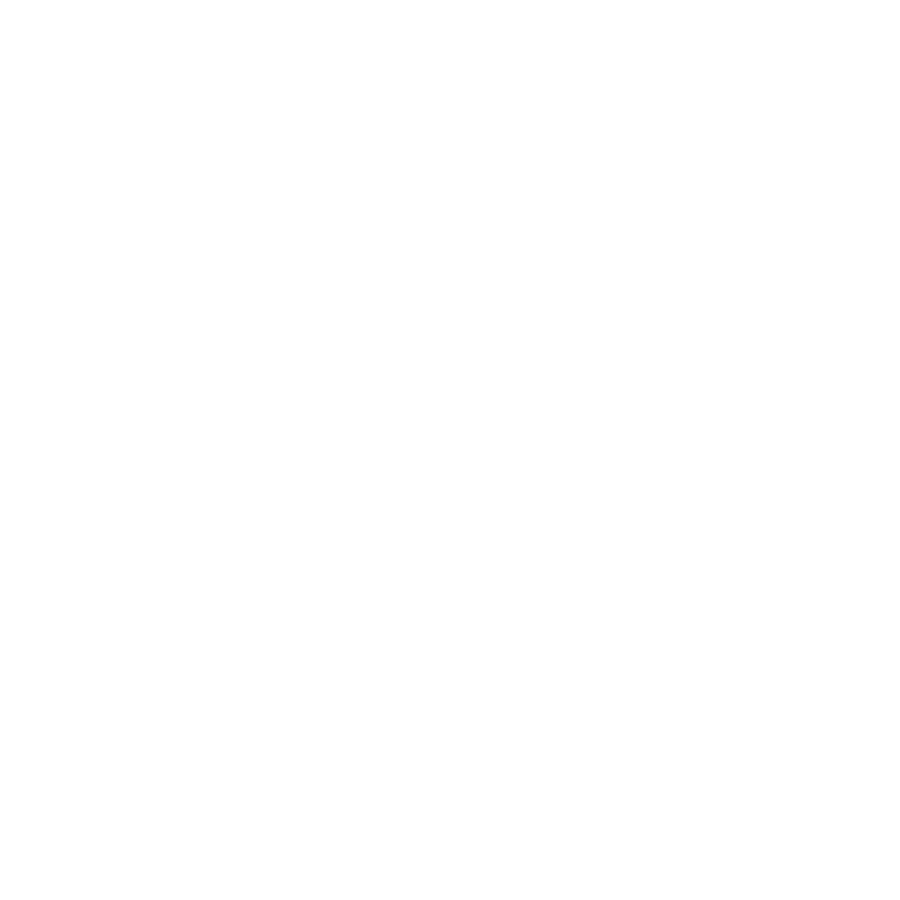 Silver PBIS Logo